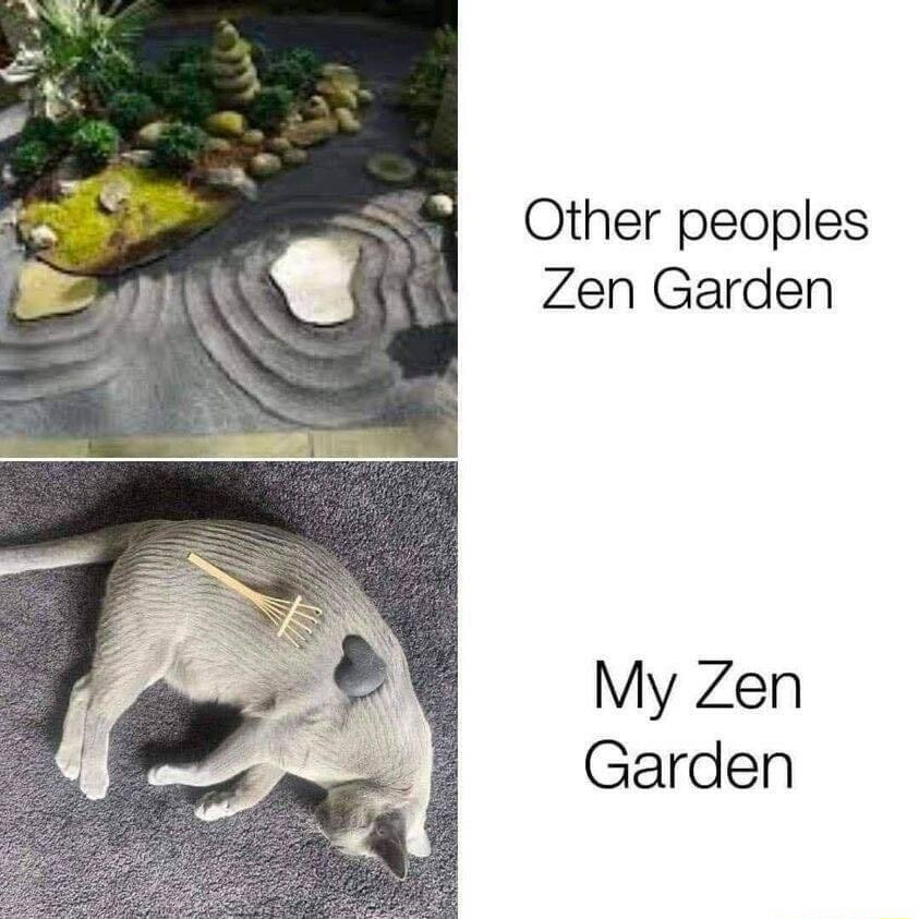 25th of February 2023 @ 4:12pm