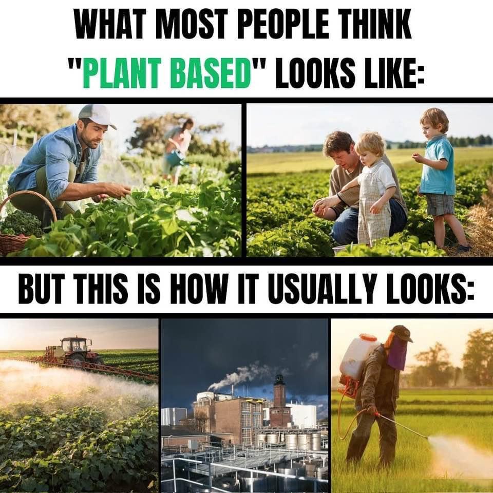 21st of April 2024 @ 4:06am