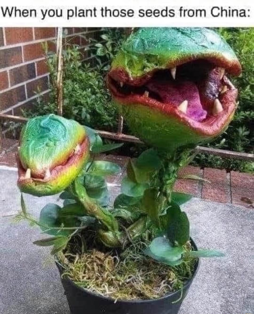 8th of October 2022 @ 4:04pm