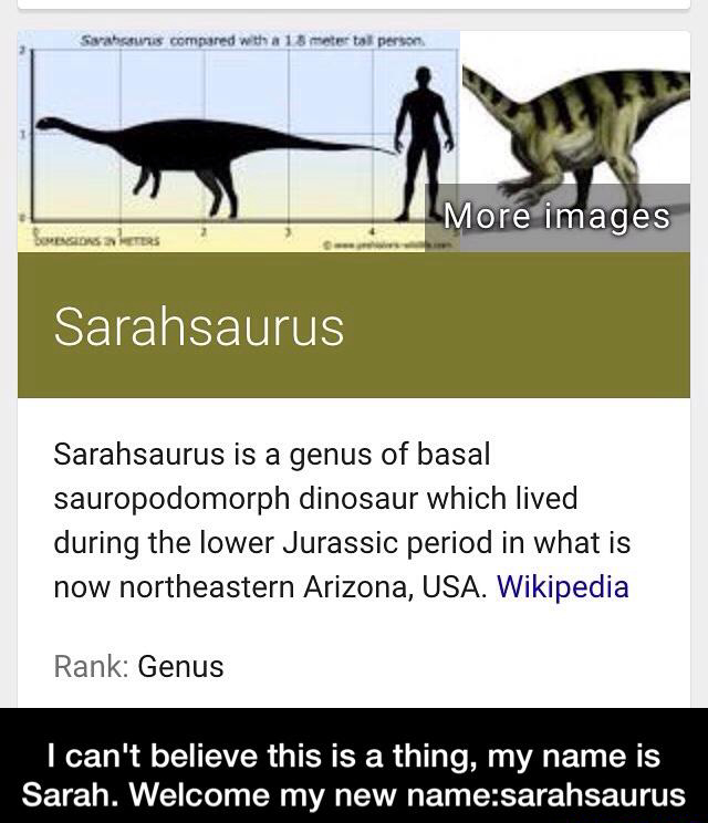 FindThatMeme - Meme Sarahonuns compared with a 1.5 meter tall person ...