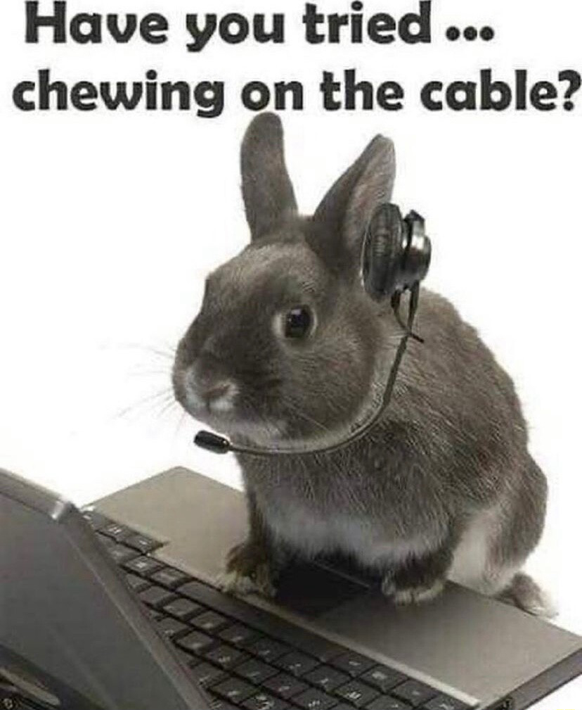 e3583013-1106-44b1-85c6-69d79f4dbb3f.jpe