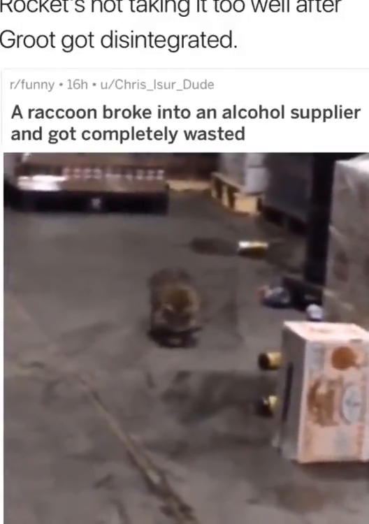 14th of March 2024 @ 3:13pm