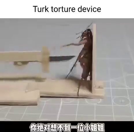3e0e3903-d86a-4e8e-976c-6a37e2362e65.png