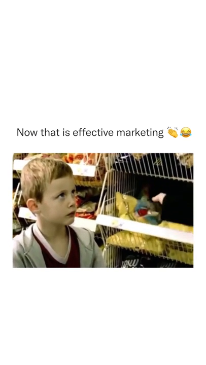 44586488-a605-424c-baaa-72f81fef534d.png
