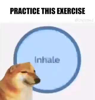 490e61aa-a966-4625-a84f-54e5c195f13a.png