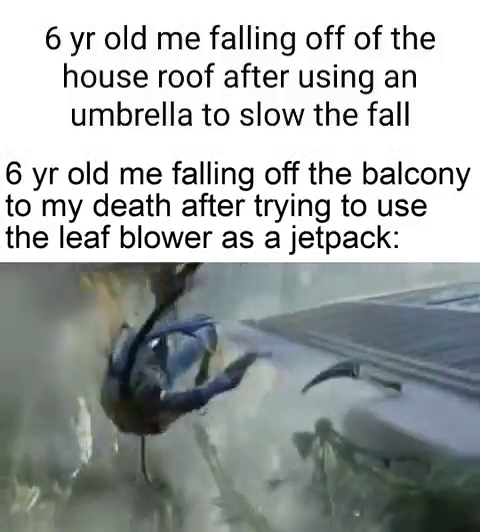 FindThatMeme - Meme 6 yr old me falling off of the house roof after ...
