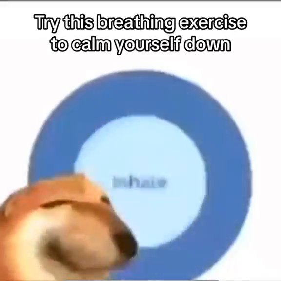 6470f20c-5265-4044-a243-57241b0cf0f8.png