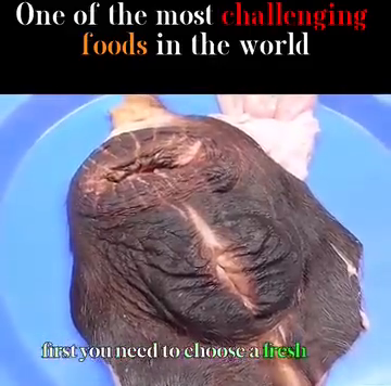 676e295e-e59f-4907-acdf-a5d96ff23b9a.png