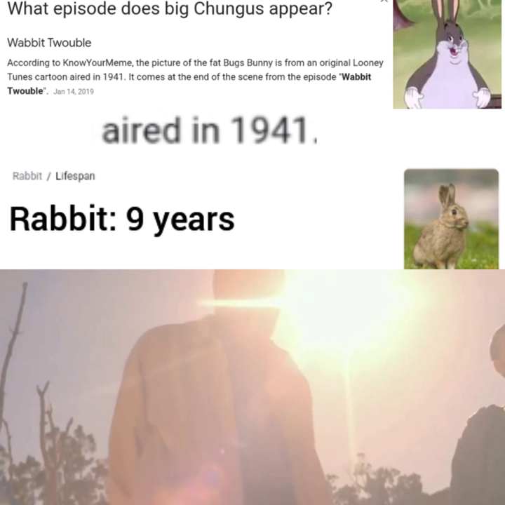 FindThatMeme - Meme What episode does big Chungus appear? Wabbit ...