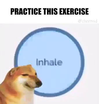6a91dc23-8eda-43b0-a6ed-8f3d95871112.png