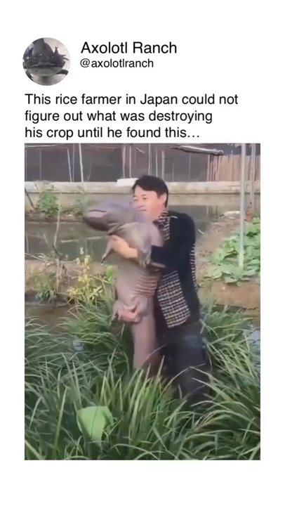 703e63e7-aaa0-4613-8946-dcbb7d4608aa.png