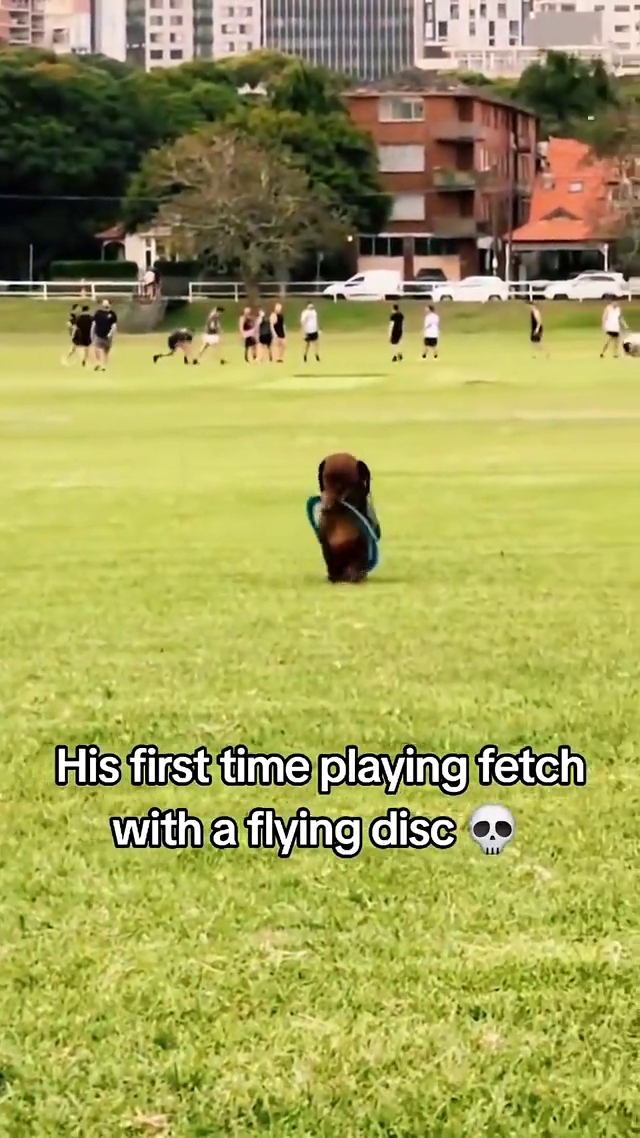 c047d372-16f7-4aeb-9c80-9721aa58ac95.png
