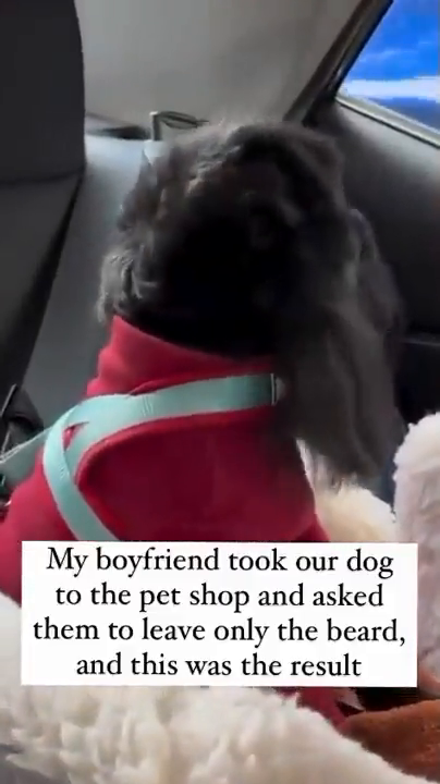 24th of January 2024 @ 4:07pm