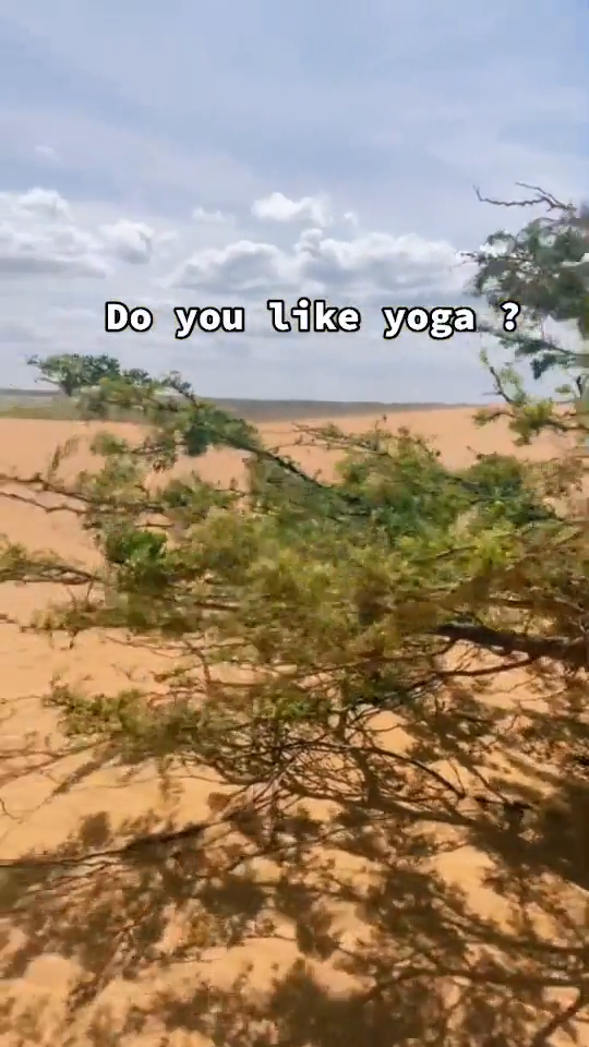 dfca5e1b-8f9c-46e2-8a5d-870f420eb14f.png