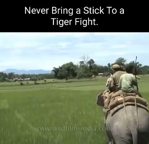 fe0b4e3e-aad3-4088-93b1-e549ca509f64.png